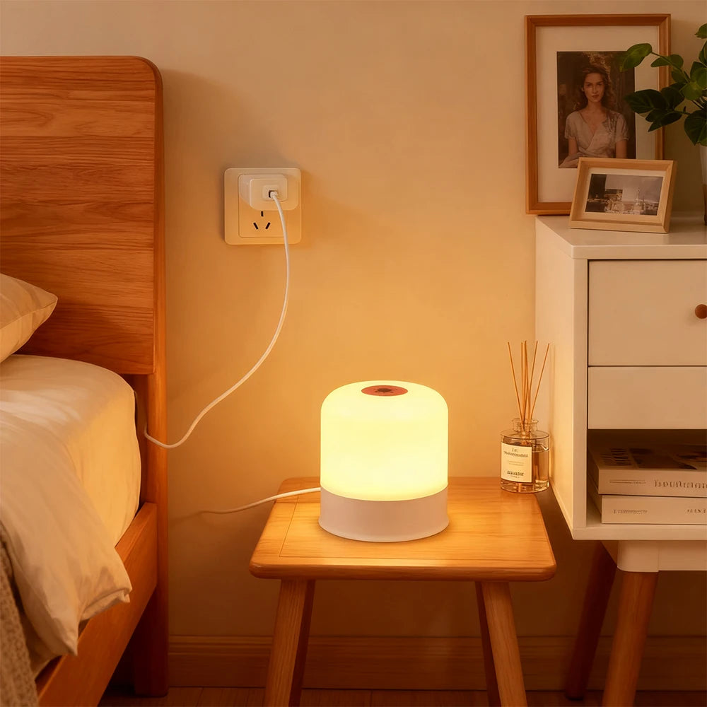 LED Night Light Dimmable Rechargeable/Plug-in Desktop Bedroom Bedside Lighting Decorative Touchscreen Reading RGB Desk Lamp - TechSmartX