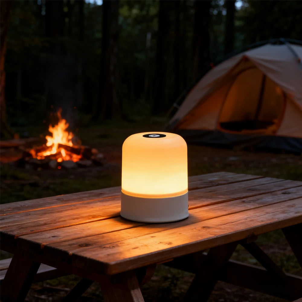 LED Night Light Dimmable Rechargeable/Plug-in Desktop Bedroom Bedside Lighting Decorative Touchscreen Reading RGB Desk Lamp - TechSmartX