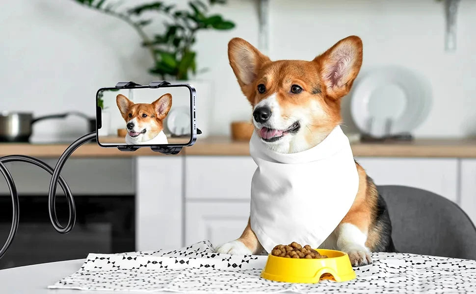 Universal Mobile Phone Stand Adjustable Lazy Stand Rotatable Bedside Stand Desktop Live Streaming Selfies Phone Accessories